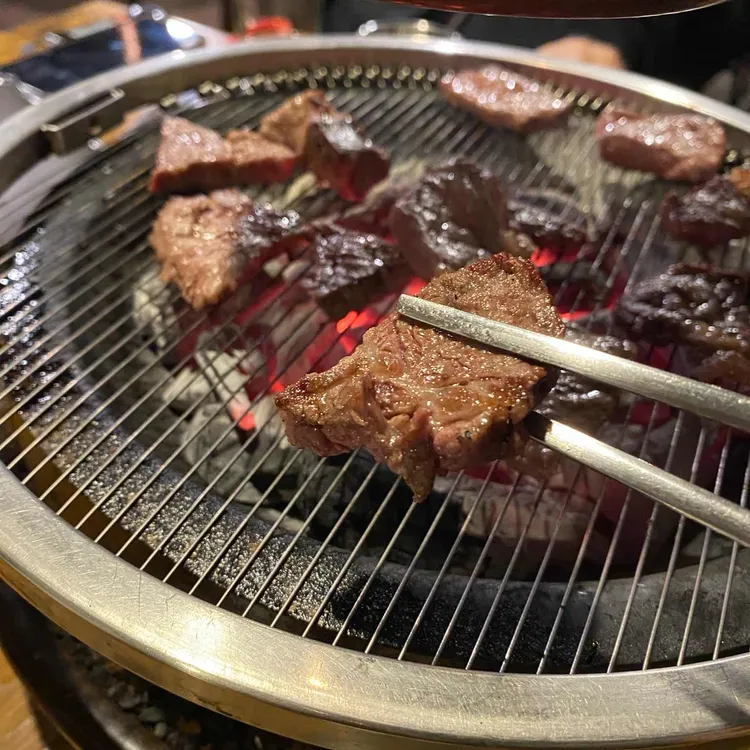 마초 대표 사진