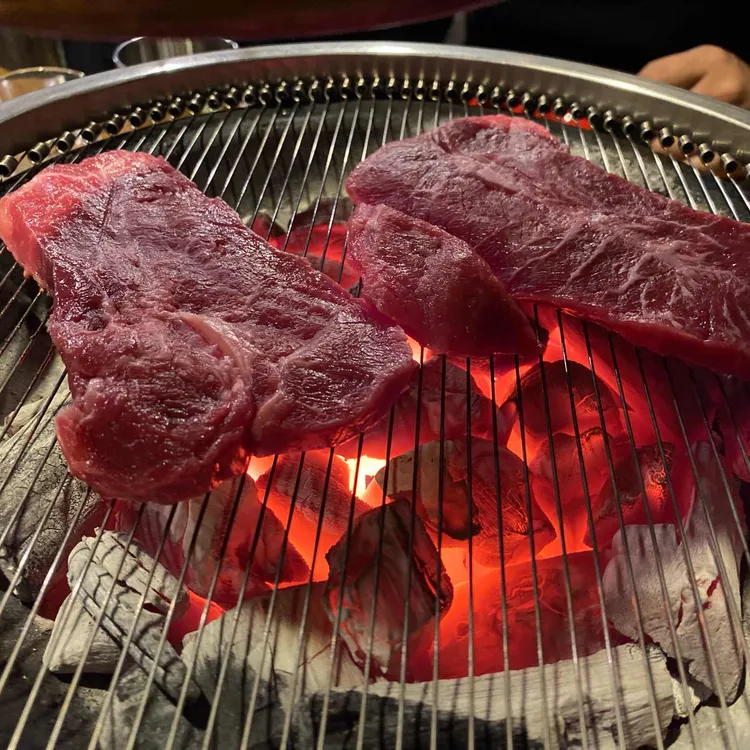 마초 대표 사진