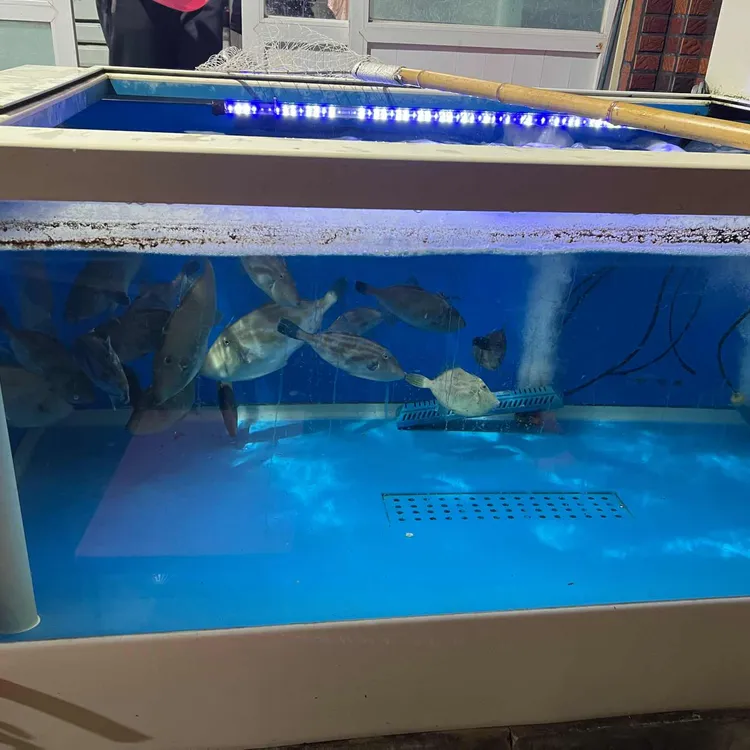 고내횟집 대표 사진