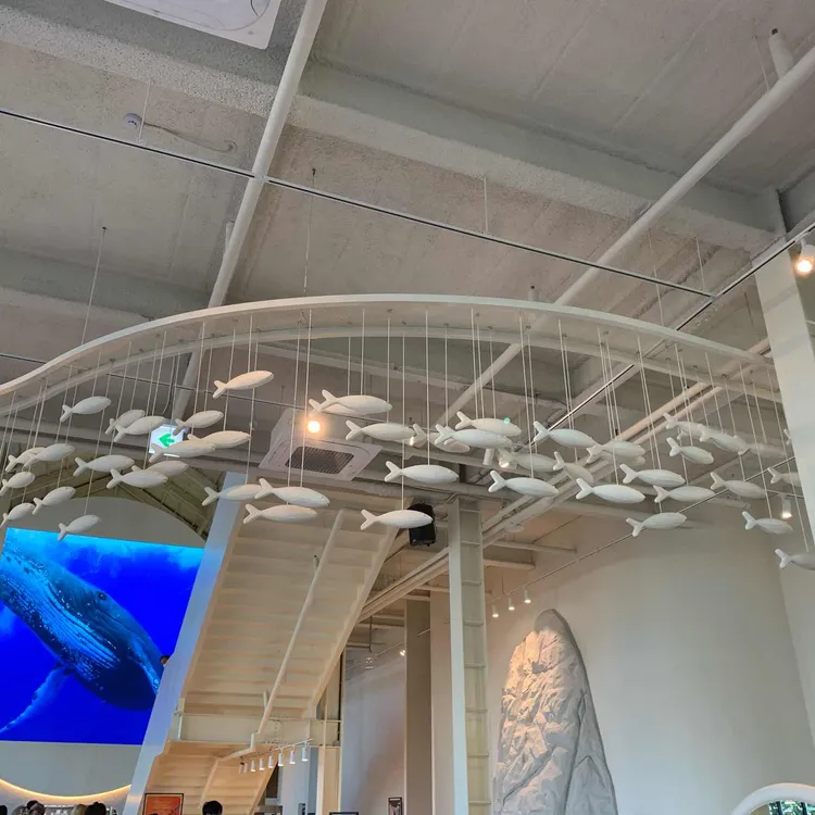 고래초밥 대표 사진