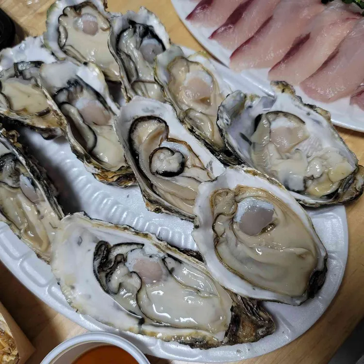 캐리비안 회적 대표 사진