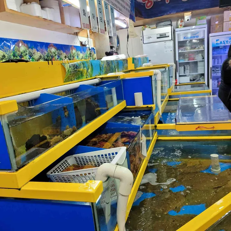 광어생각 대표 사진