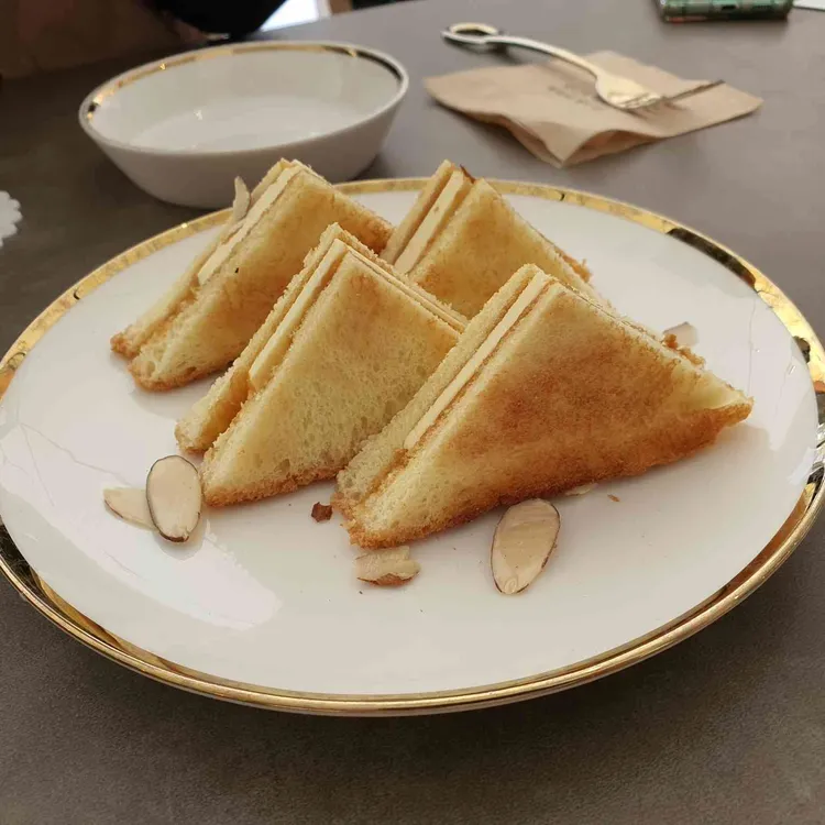 쎄라비 대표 사진
