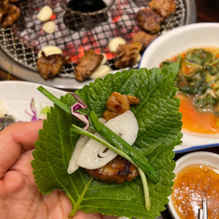 하늘타리 대표 사진