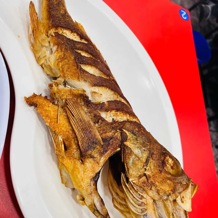 속초맛집 대표 사진