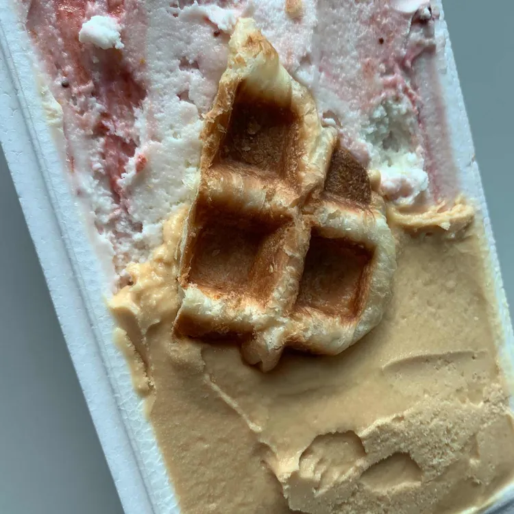 젤라또로플 대표 사진