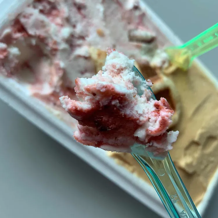 젤라또로플 대표 사진