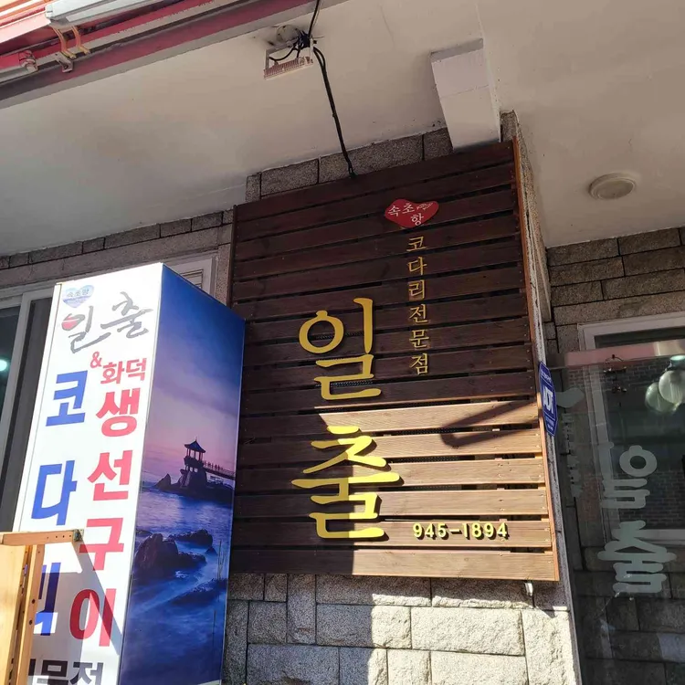 일출 대표 사진