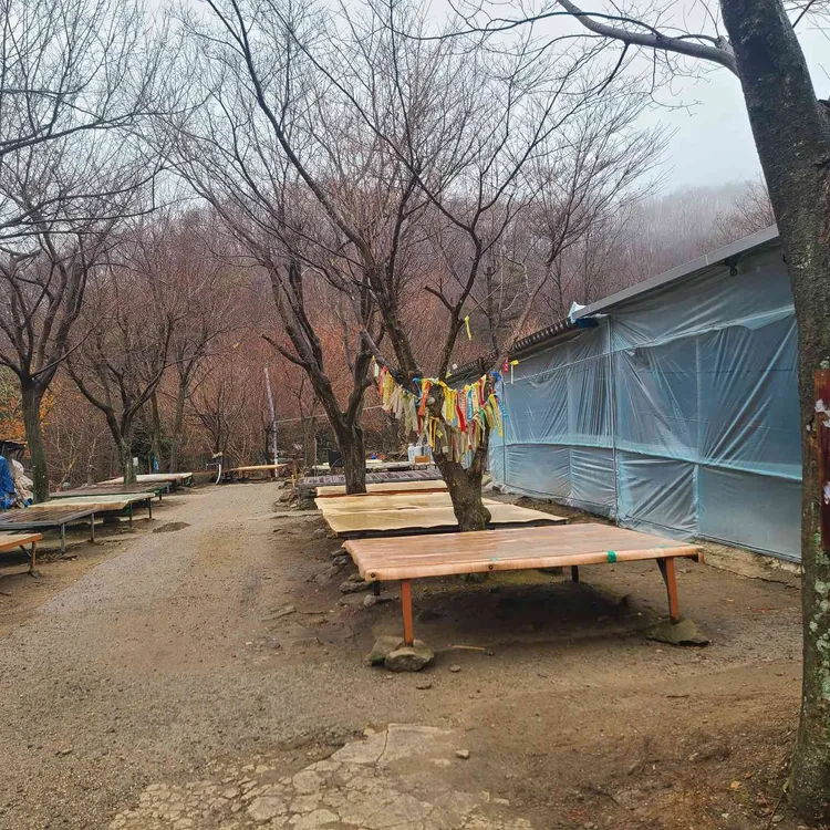 조계산보리밥집원조집 대표 사진