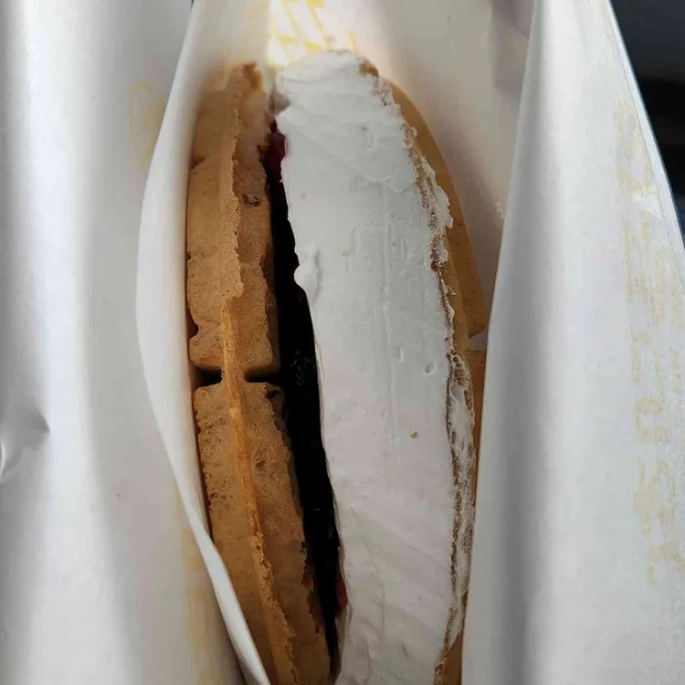 와플대학 대표 사진