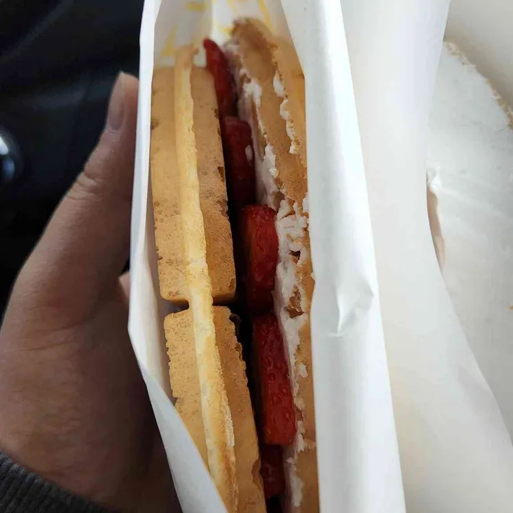 와플대학 대표 사진