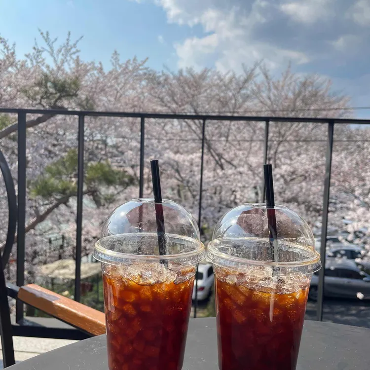 엔젤리너스 대표 사진