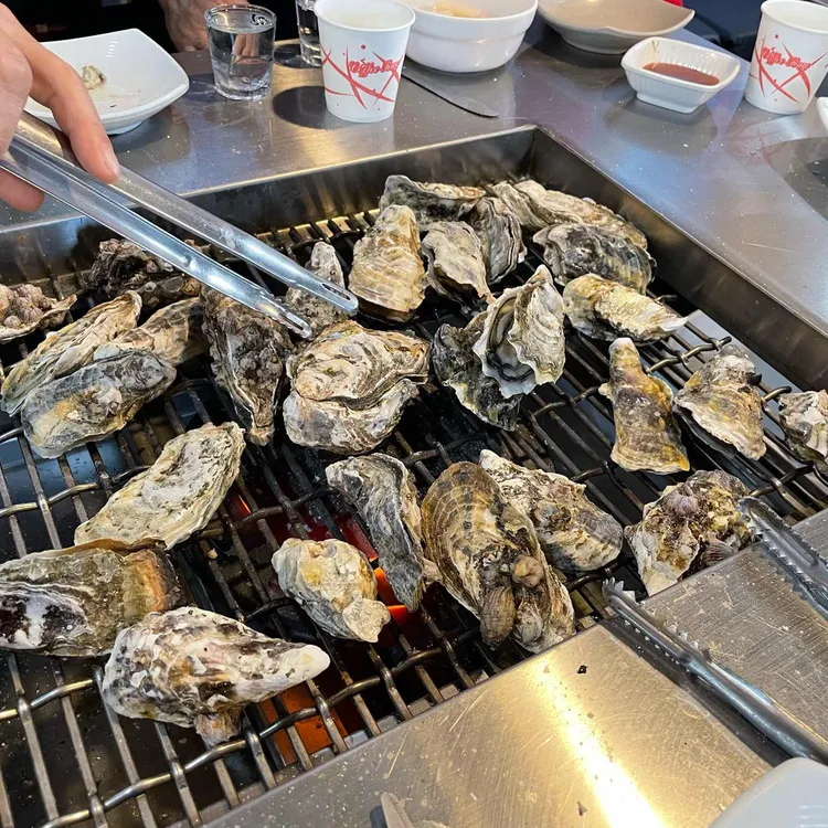 굴나라 대표 사진