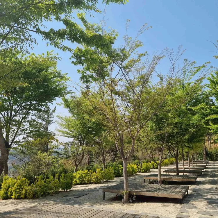 소담원 대표 사진