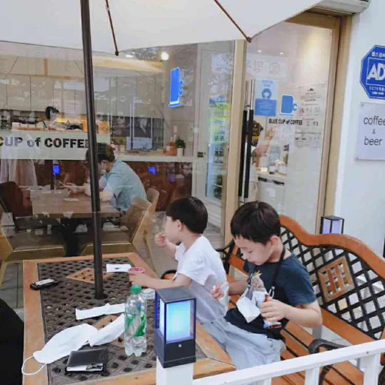 블루컵오브커피 대표 사진