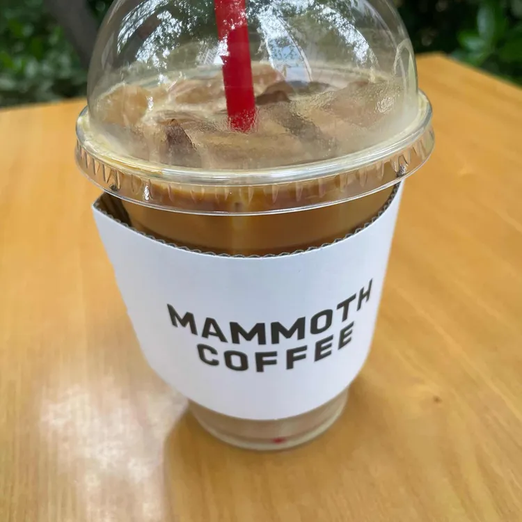 매머드익스프레스 대표 사진