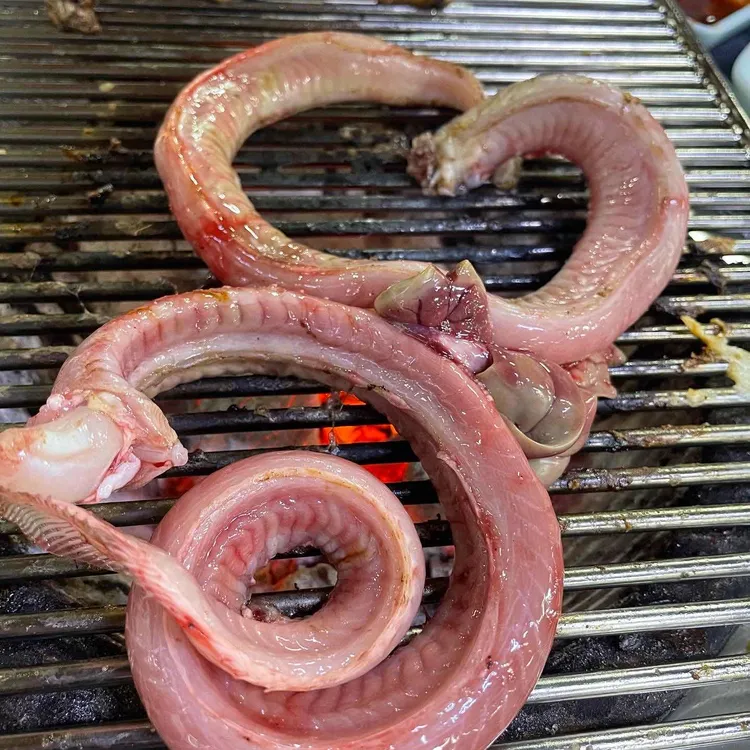 어부의딸 대표 사진