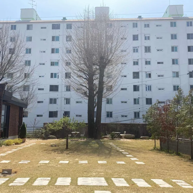 첼로네시아 대표 사진