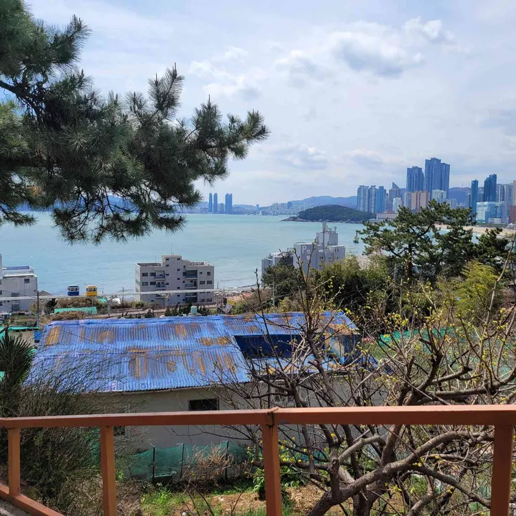 솔마루 대표 사진