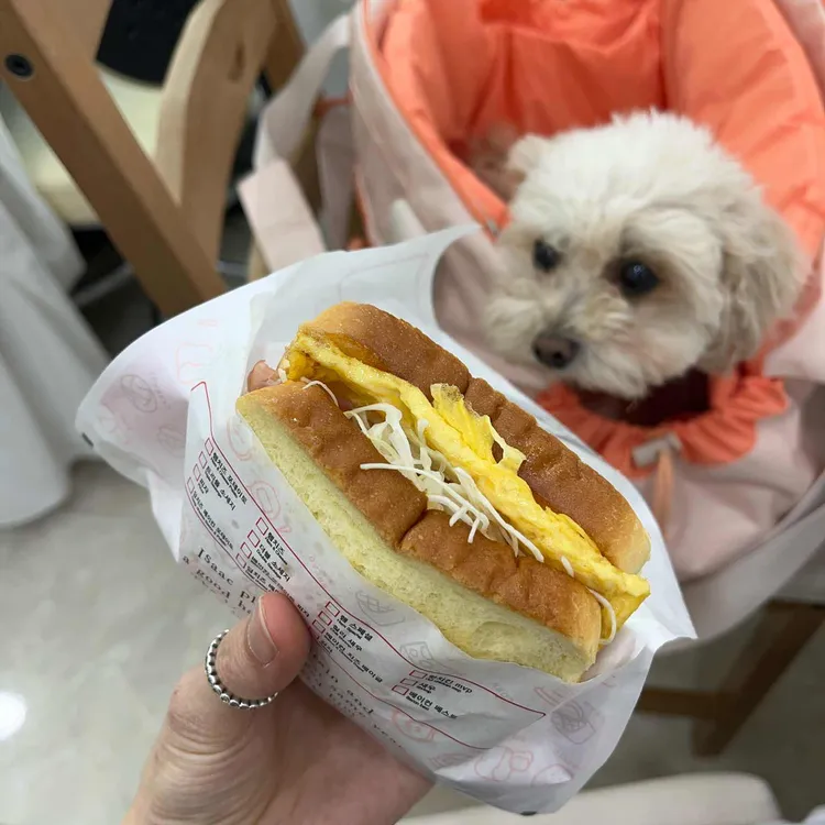 이삭토스트 대표 사진