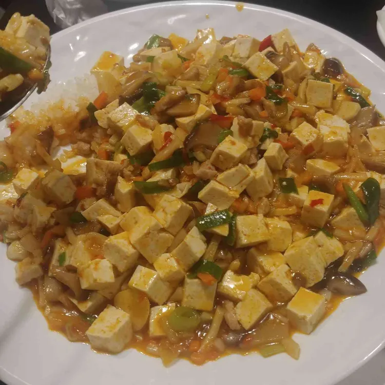 홍화 대표 사진