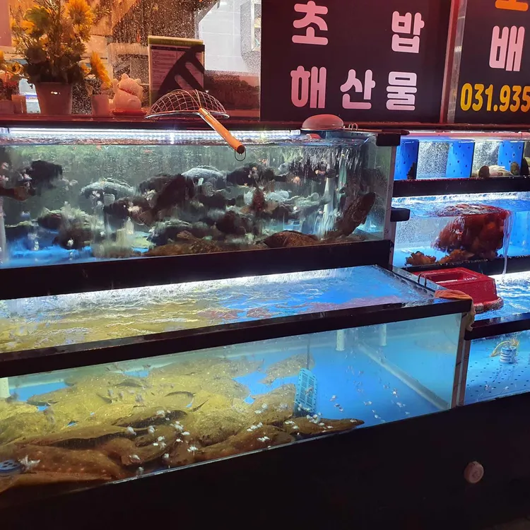 회선장 대표 사진