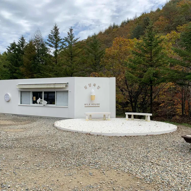 대관령 삼양목장 대표 사진