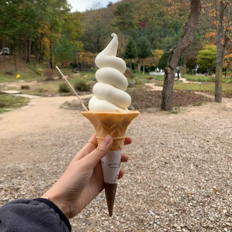 대관령 삼양목장 대표 사진