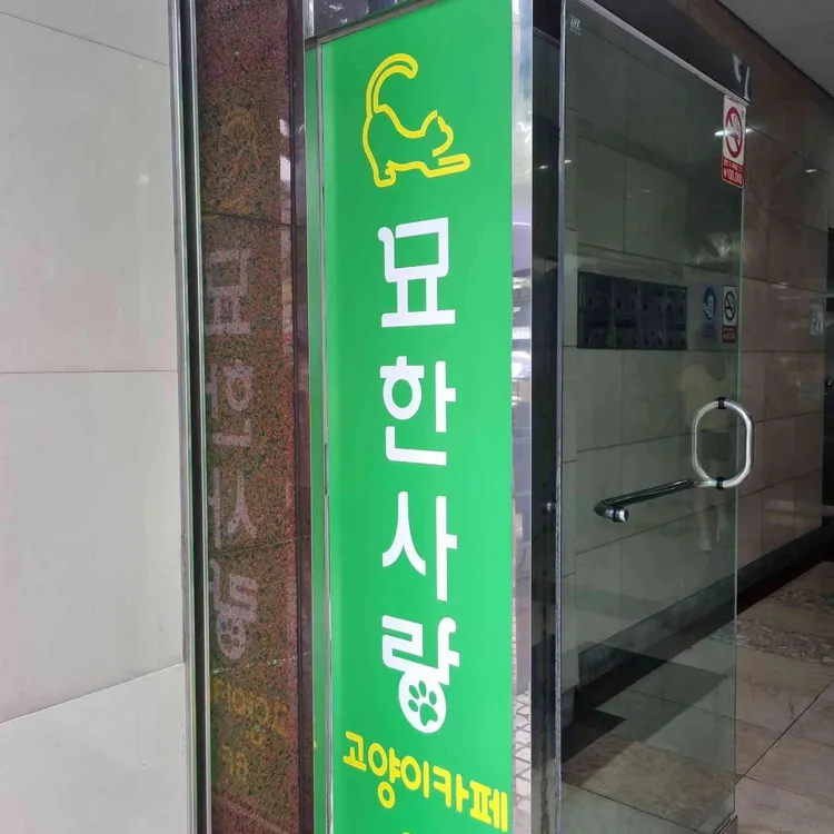 묘한사랑 고양이카페 대표 사진