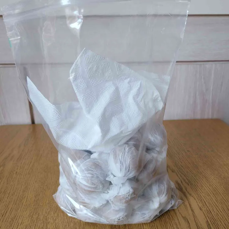 코코호도 대표 사진