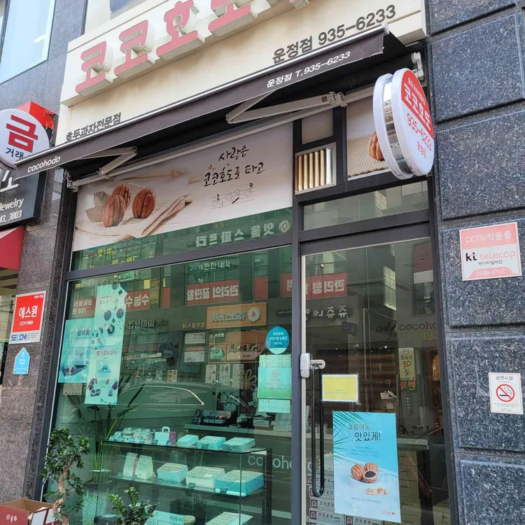 코코호도 대표 사진