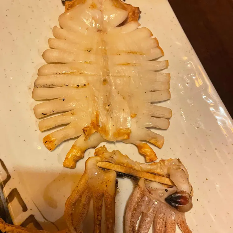 투다리 대표 사진