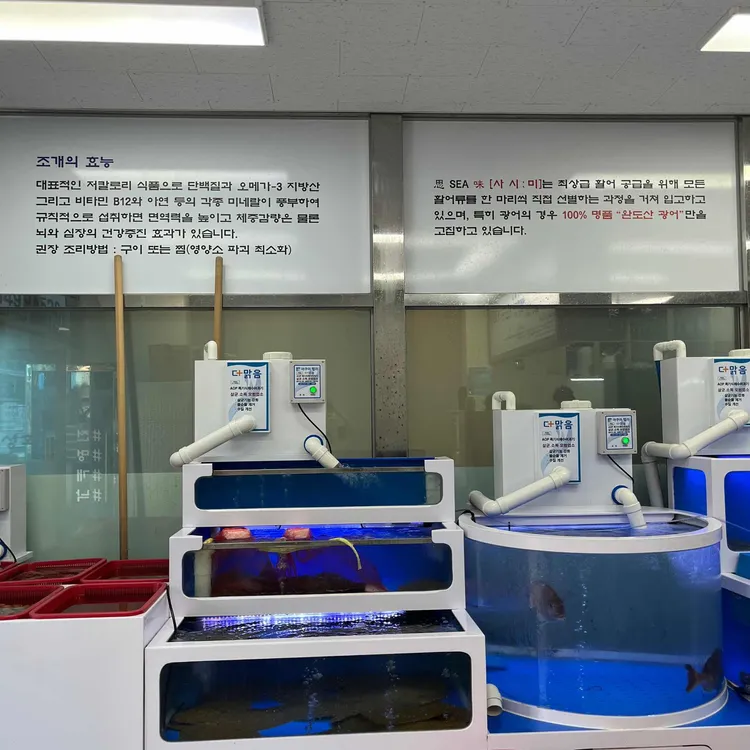 사시미 대표 사진