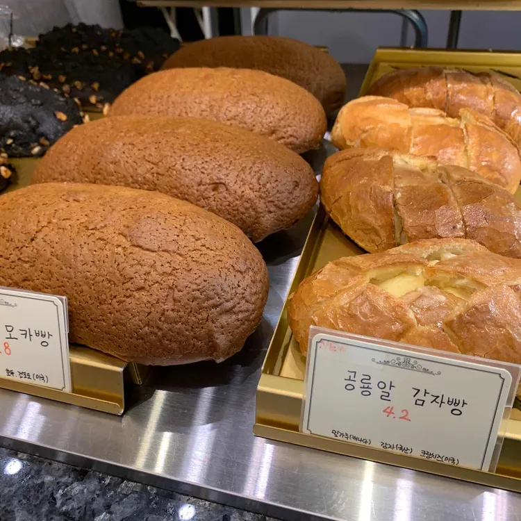 갸또마마 대표 사진