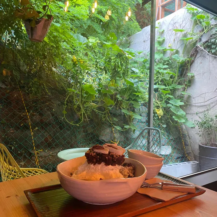 동백을지나서 대표 사진