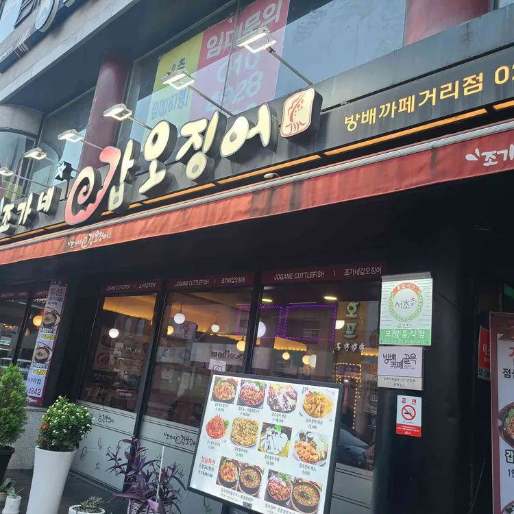 조가네갑오징어 대표 사진