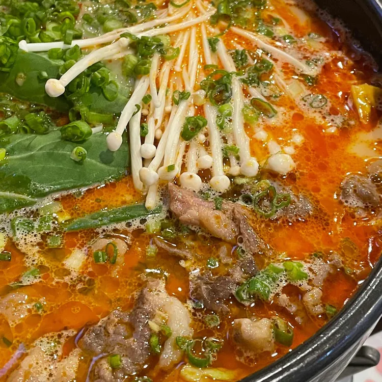 히카루 대표 사진