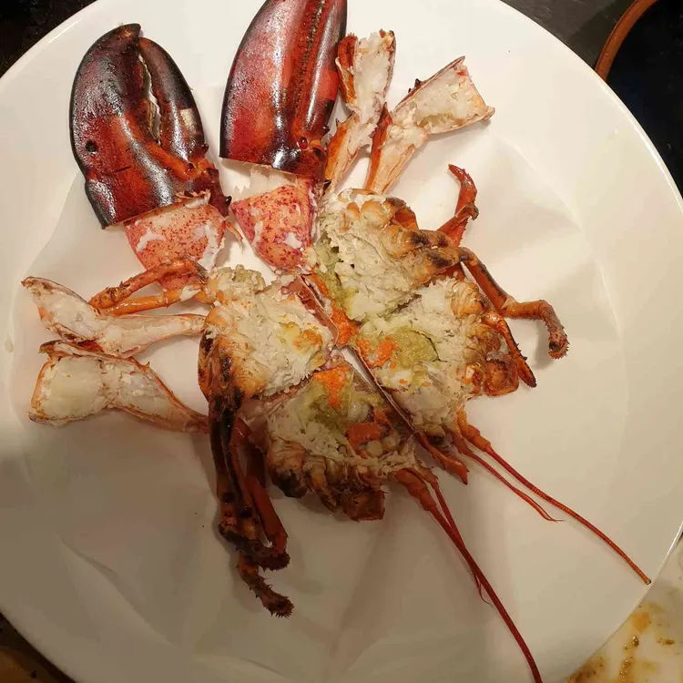 도쿄실비인데판 대표 사진