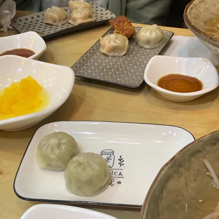 국수나무 대표 사진
