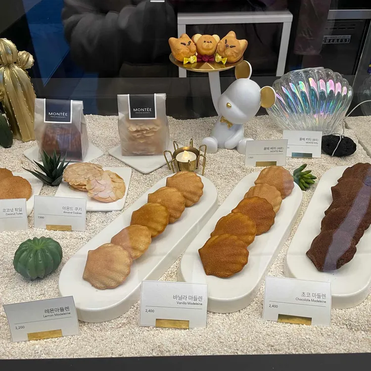 몽떼 대표 사진