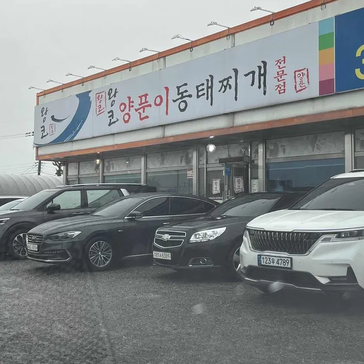 왕코양푼이동태찌개 대표 사진