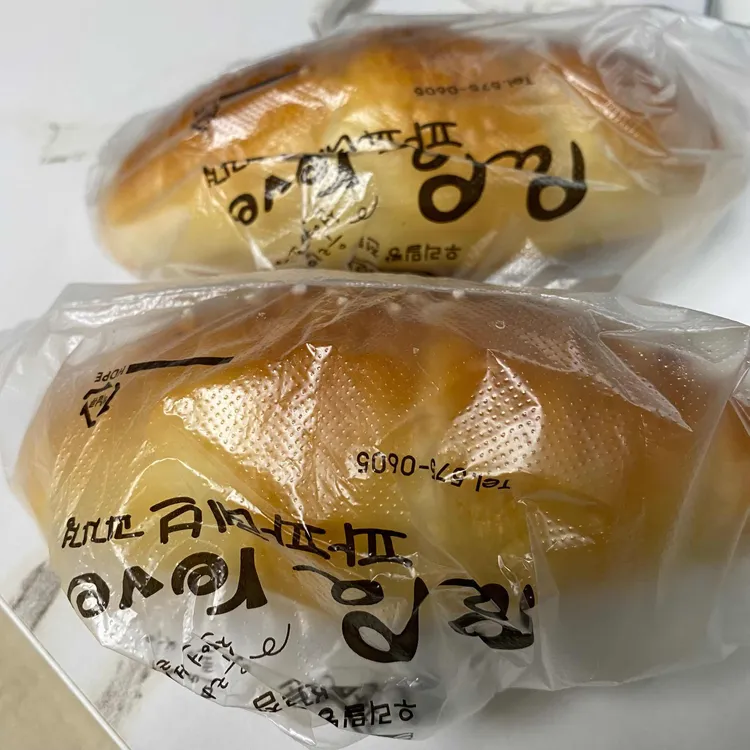 파파레브 대표 사진