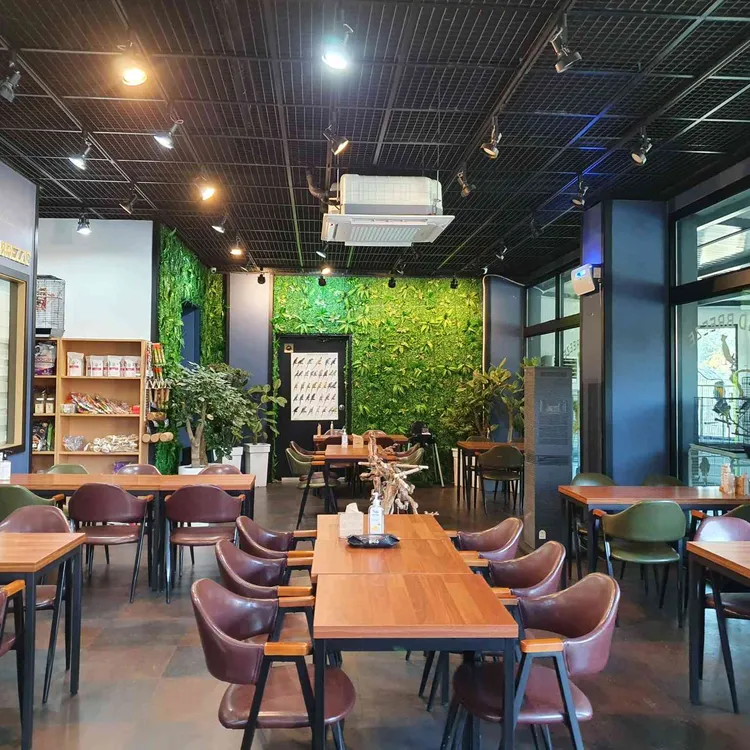 버드브리즈 대표 사진