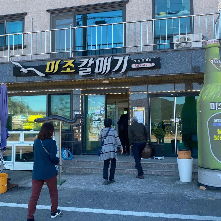 미조갈매기 대표 사진