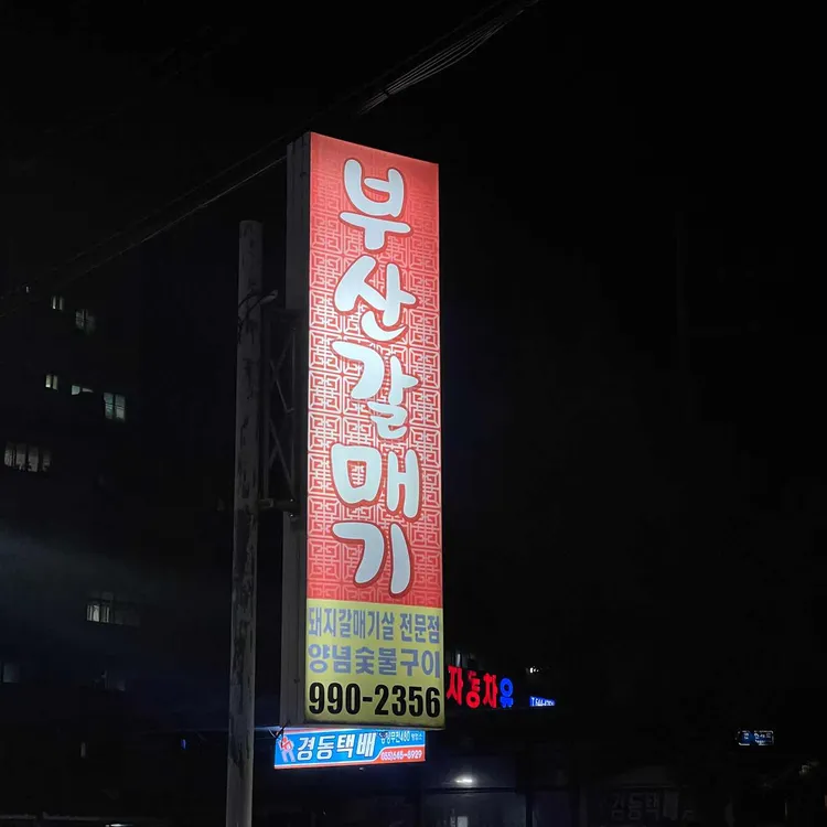 부산갈매기 대표 사진