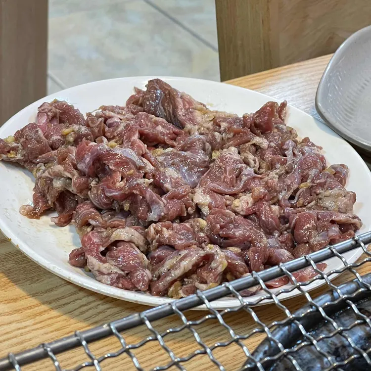 부산갈매기 대표 사진