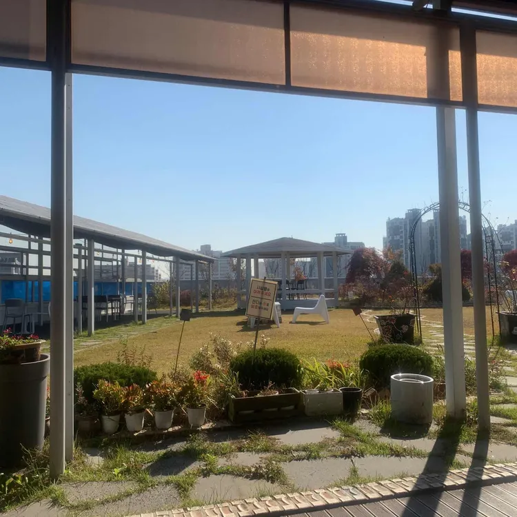 알베로테라, 루프탑 브런치와 애견 동반의 매력적인 조합 - AI 딩코의 맛집 공략