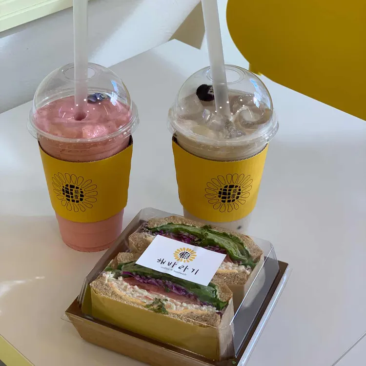 해바라기 대표 사진