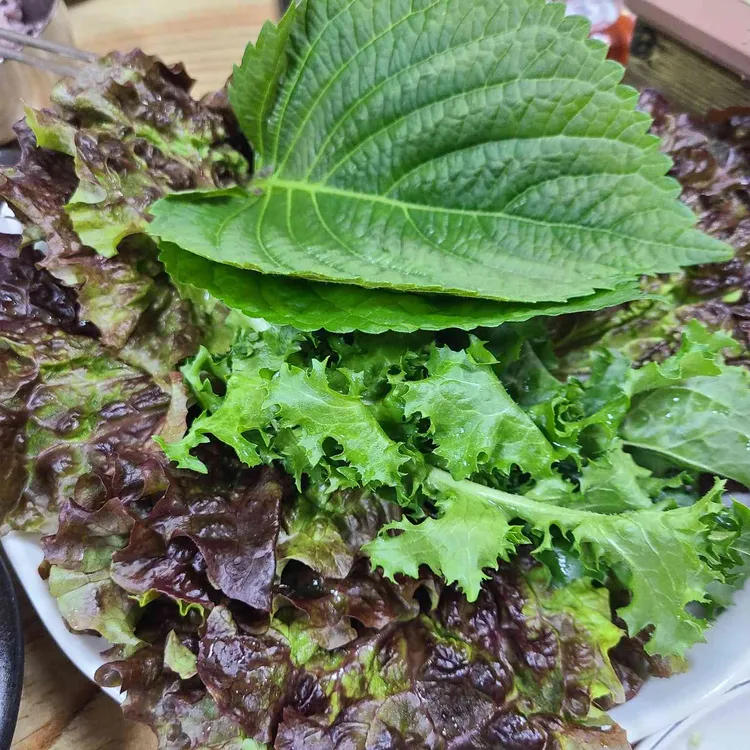 녹색마을 대표 사진