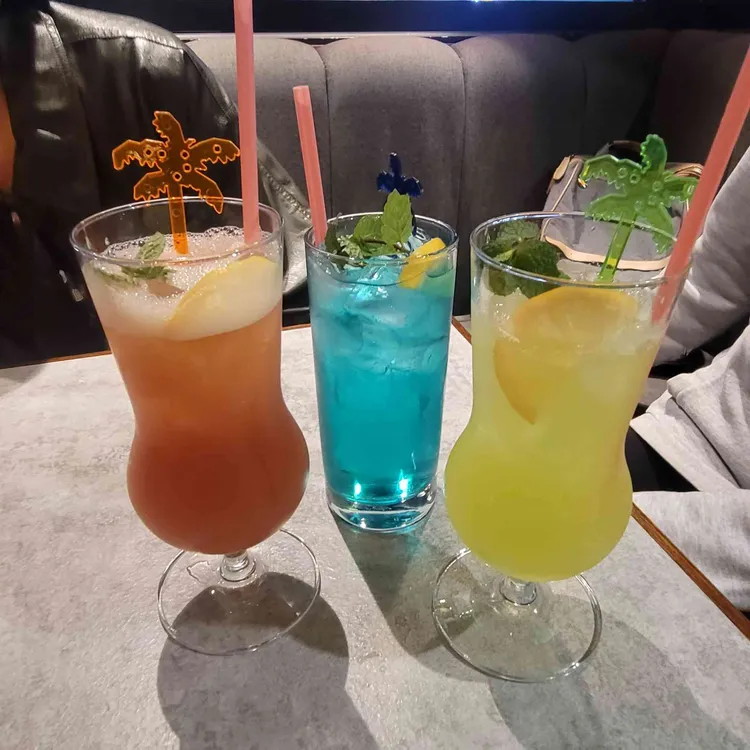 돌담 대표 사진